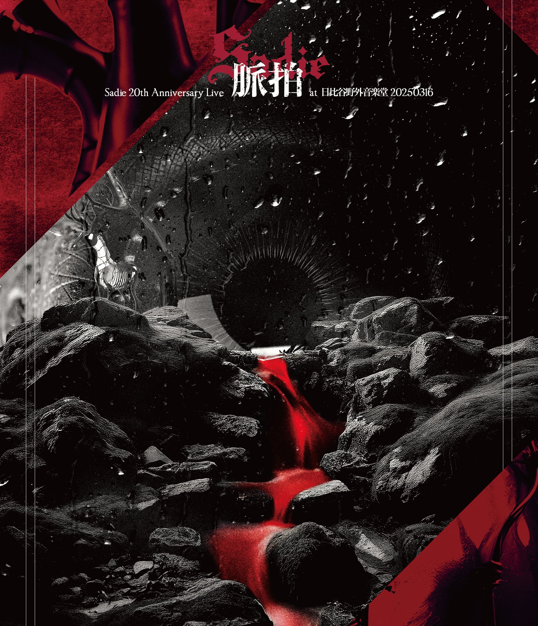 2025.12.24 Sadie / THE REVIVAL OF MADNESS【通常盤】 | littleHEARTS.