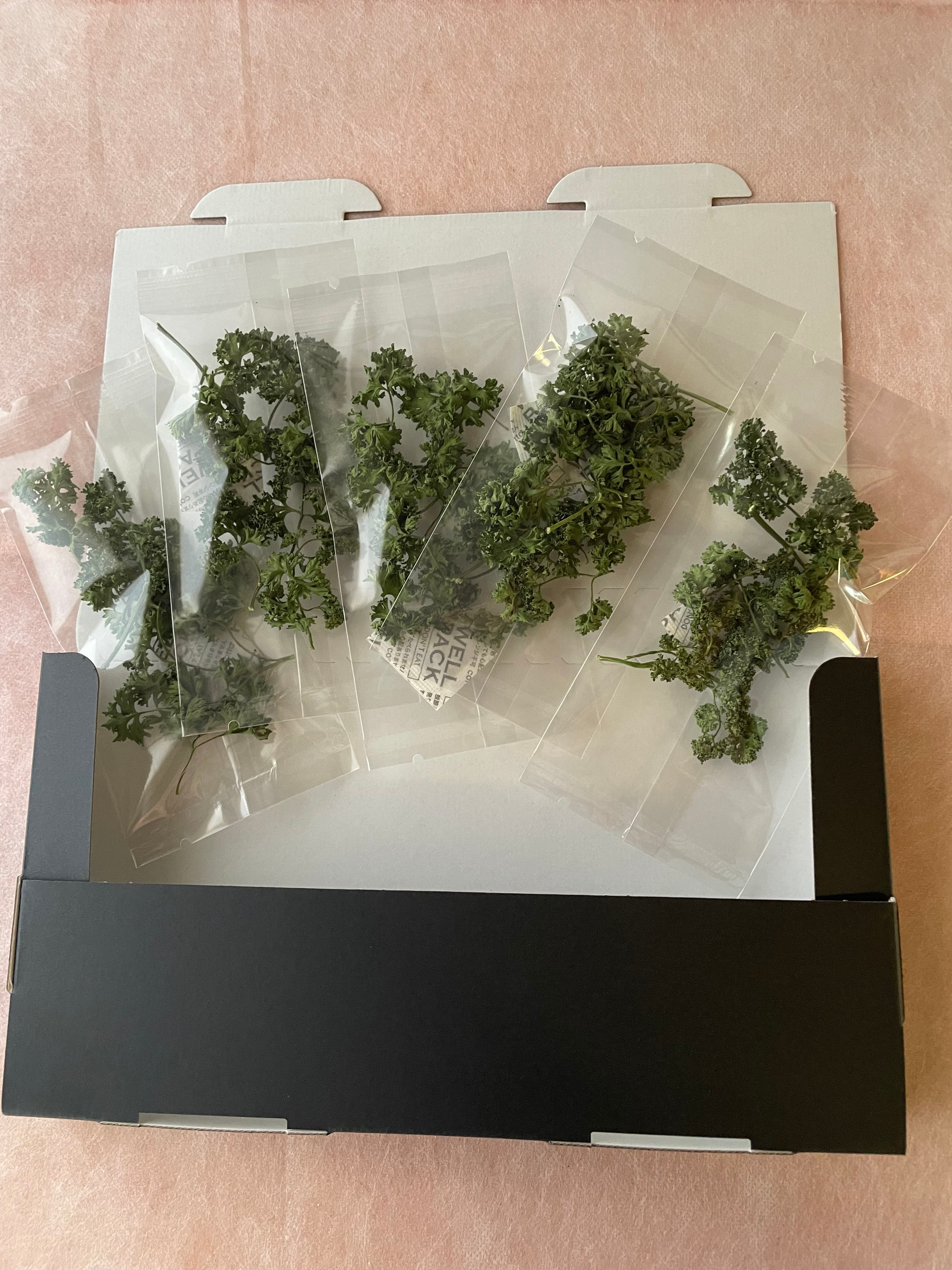 乾燥パセリ5pセット