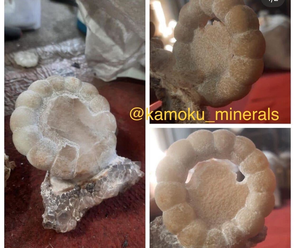 【珍奇鉱物】インド　フローライト　ポンデリングフローライト　母岩付き 珍奇鉱物】インド フローライト ポンデリングフローライト 母岩付き