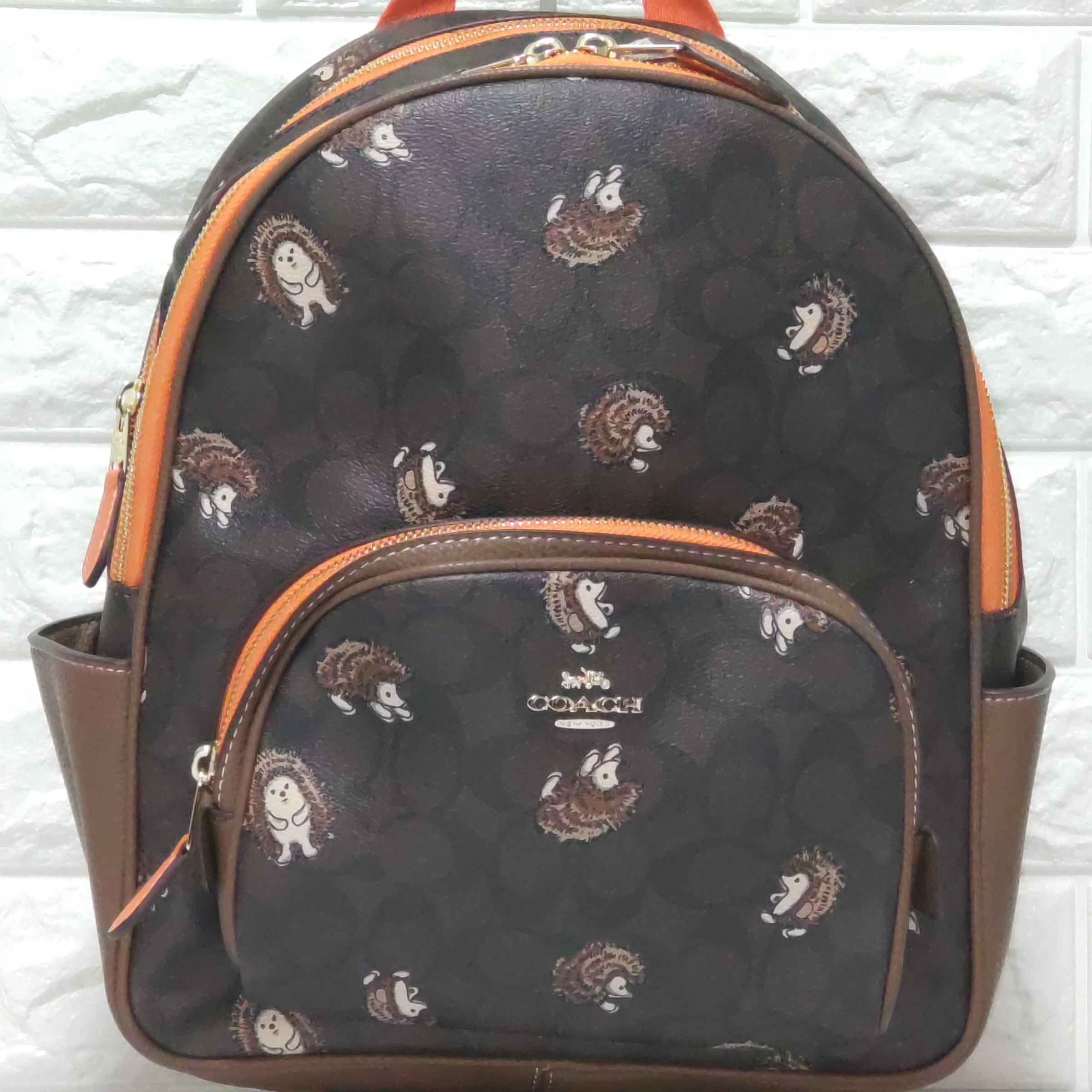 ✨新品✨コーチ COACH リュック バッグパック シグネイチャー