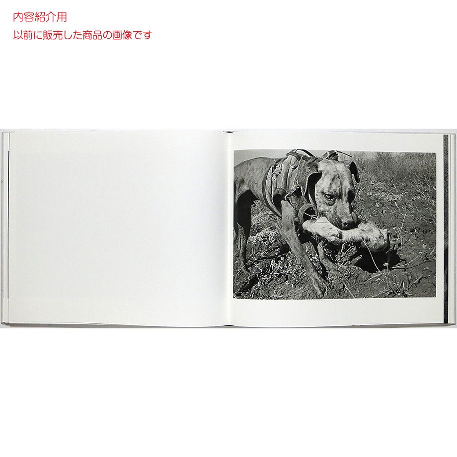 Trent Parke: Minutes to Midnight トレント・パーク：ミニッツ・トゥ