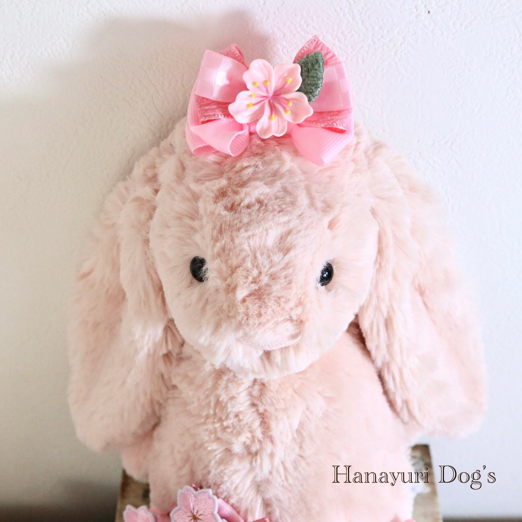 さくら 梅 桜 緑の葉っぱ ひな祭り 卒業式 入学式 お花見 犬リボン