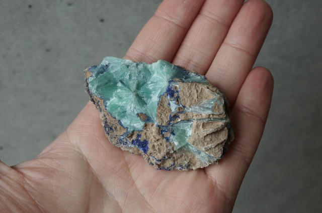 ブルーアラゴナイト/アズライト　Blue Aragonite / Azurite  784