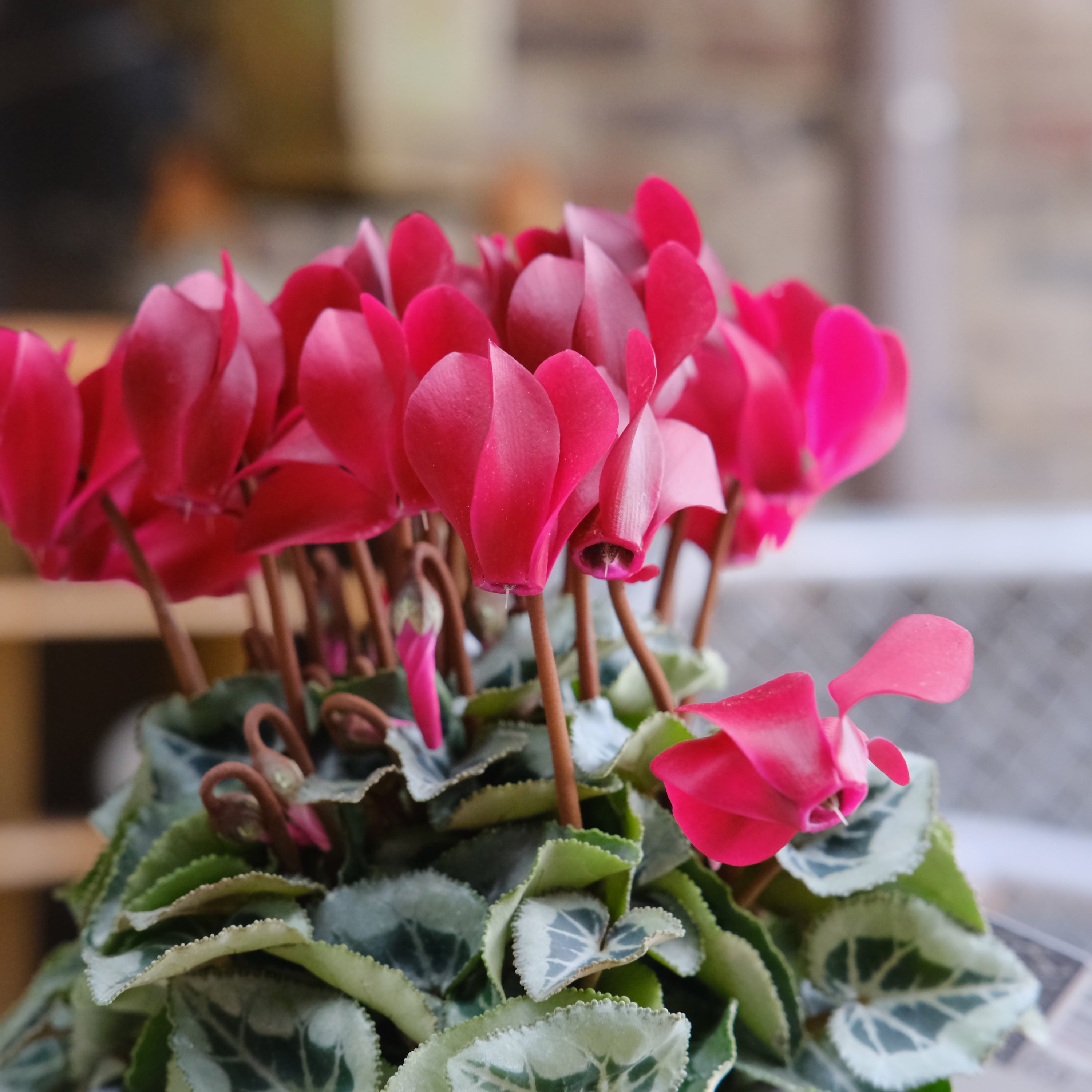 f85dc0a23a9fb92970968d2fc46fd2