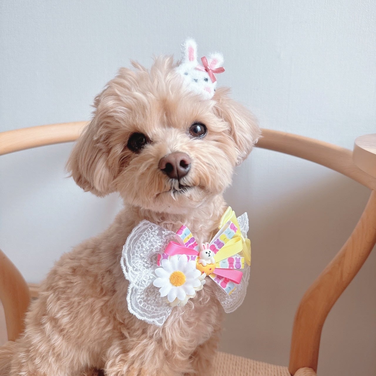 レースのうさちゃんリボンネックバンド