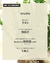 抜き苗 ユーフォルビア クンチー(クヌシ) 実生 ミニ苗 Euphorbia knuthii