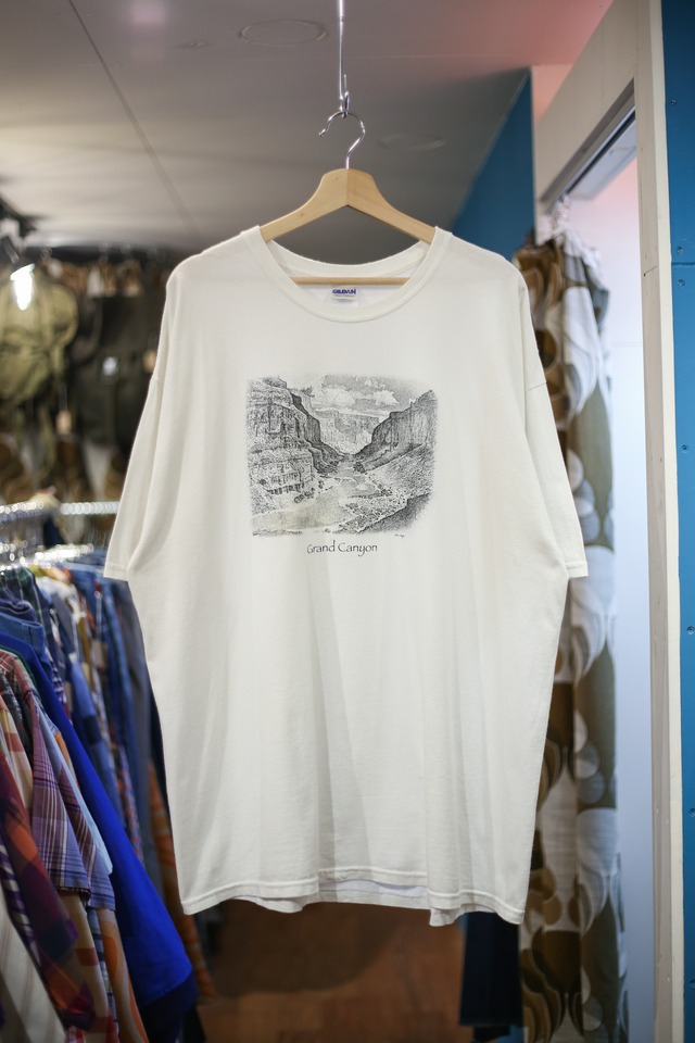 Print tee “stippling Grand Canyon”