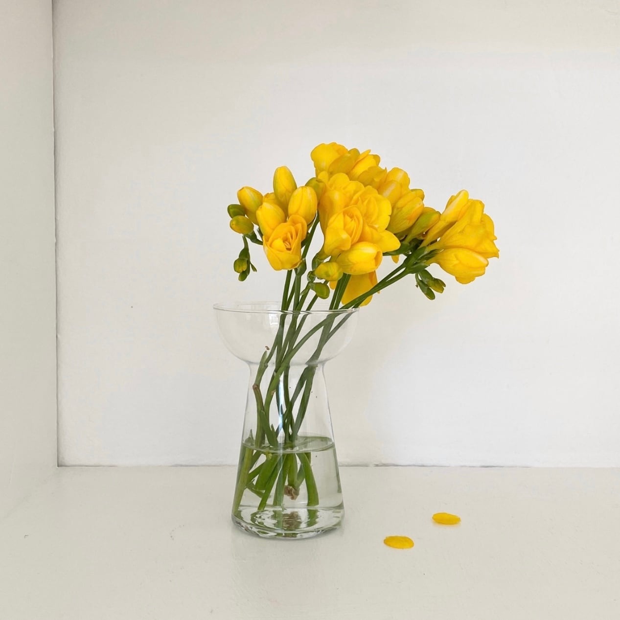 vase / 花瓶 | tokki maeul (トッキマウル) / 韓国雑貨通販サイト