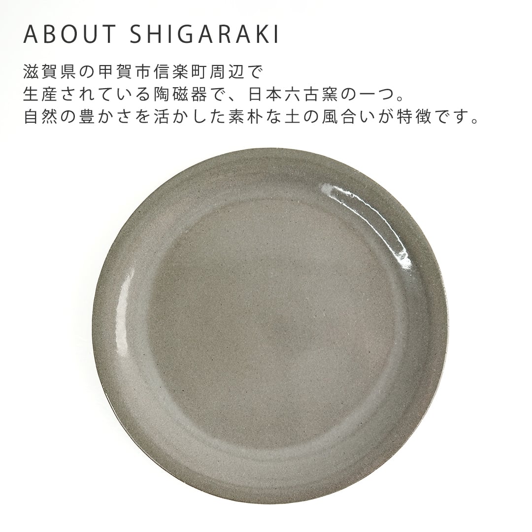 52100005 プレート 24cm 信楽 日本製 （皿 パスタ皿 メインブランド