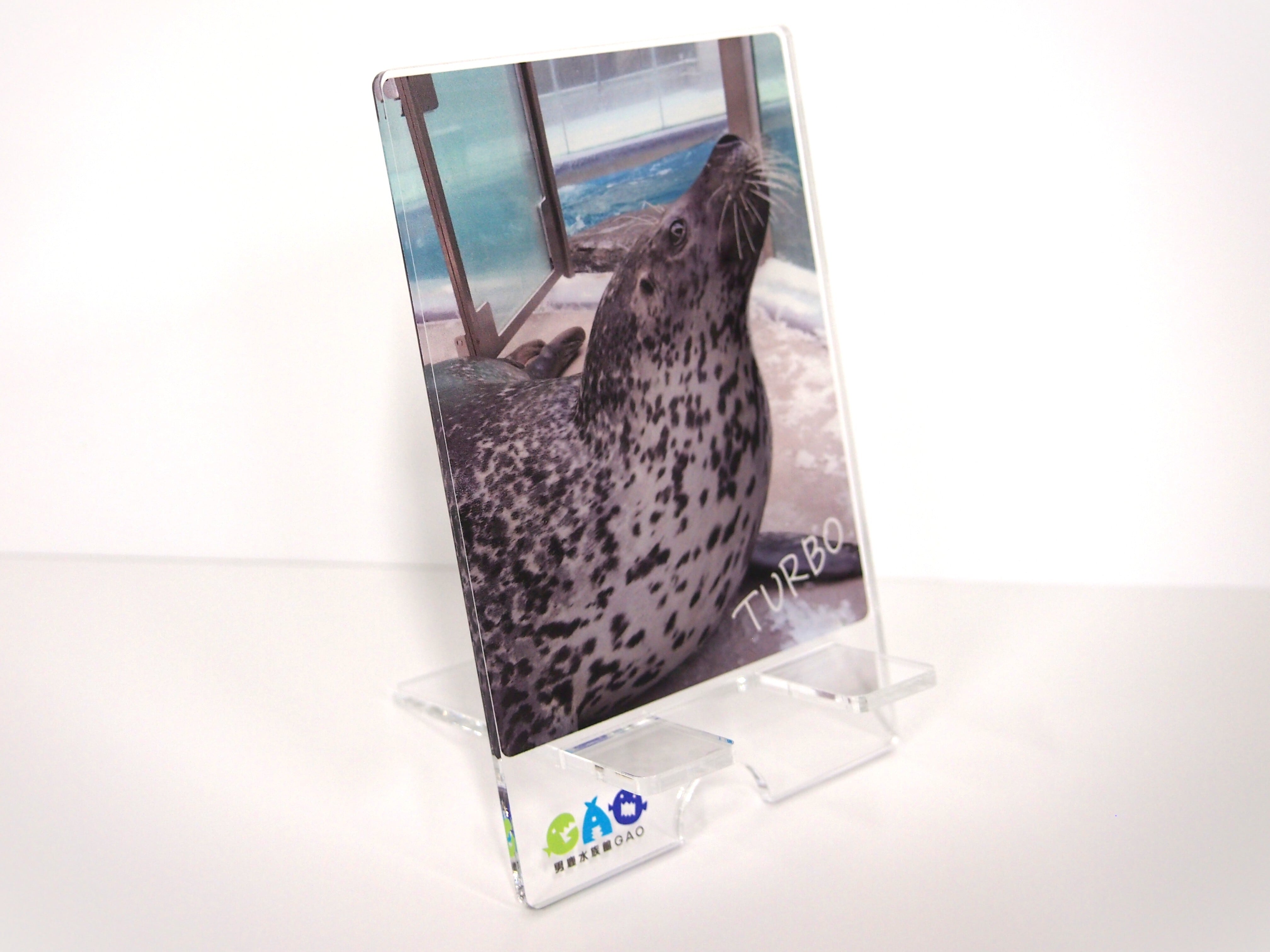 アクリルスマホスタンド ターボ・スカイ | 男鹿水族館GAO Online Shop