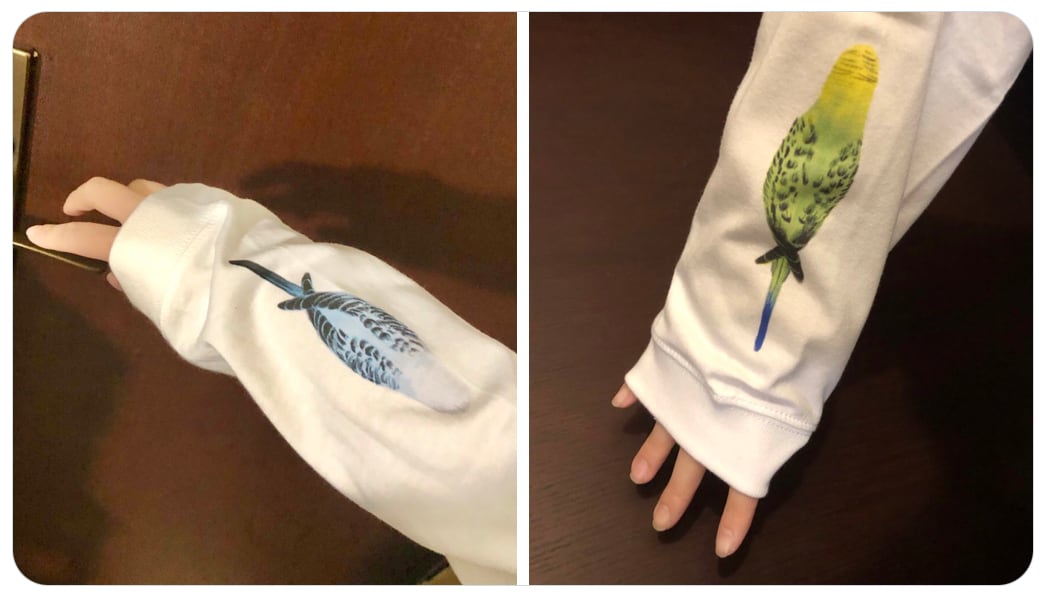 袖にインコが潜んでいる Tシャツ(限定デザインver) | petbox1976
