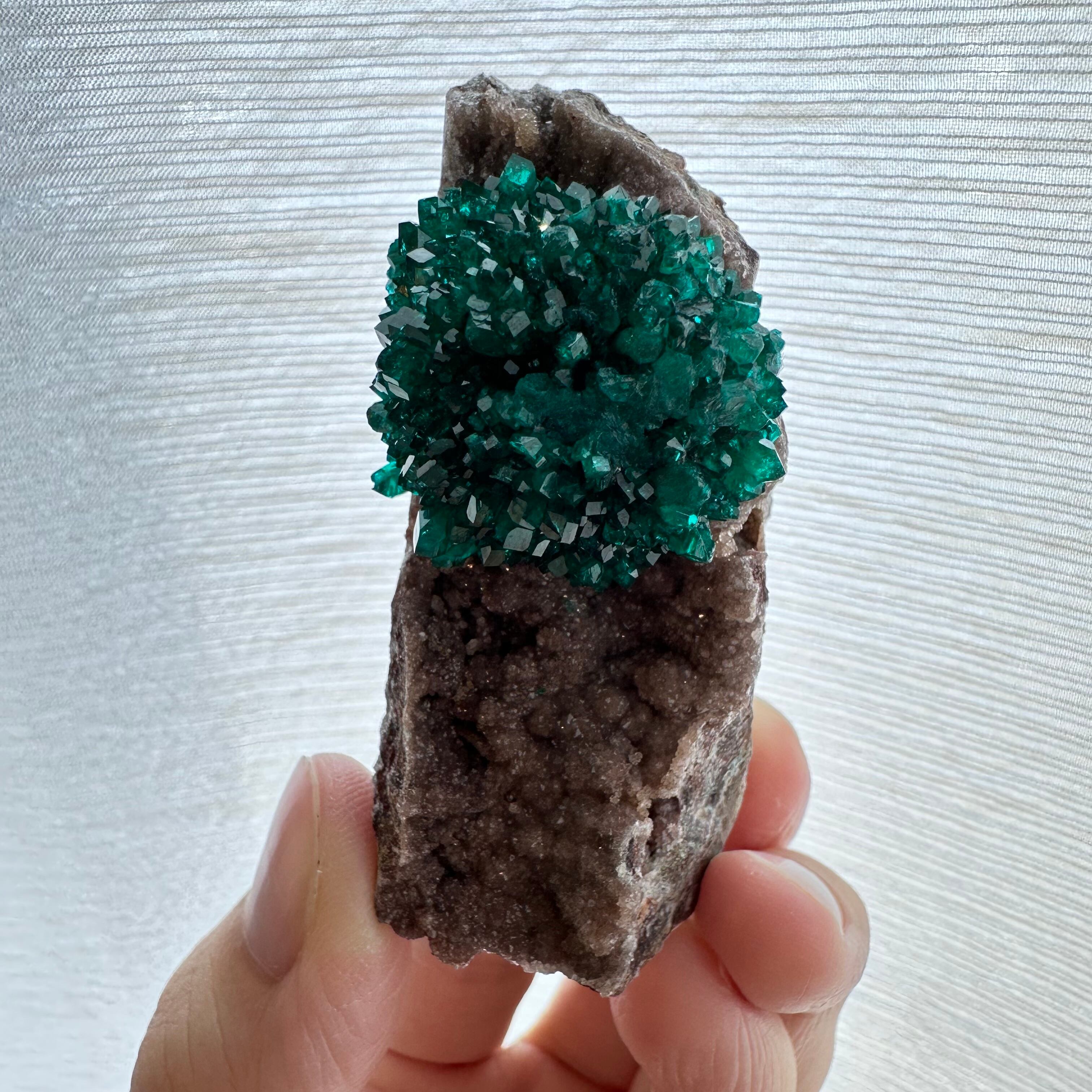 ダイオプテーズ【Dioptase】コンゴ共和国産 | PEANUTS MINERALS