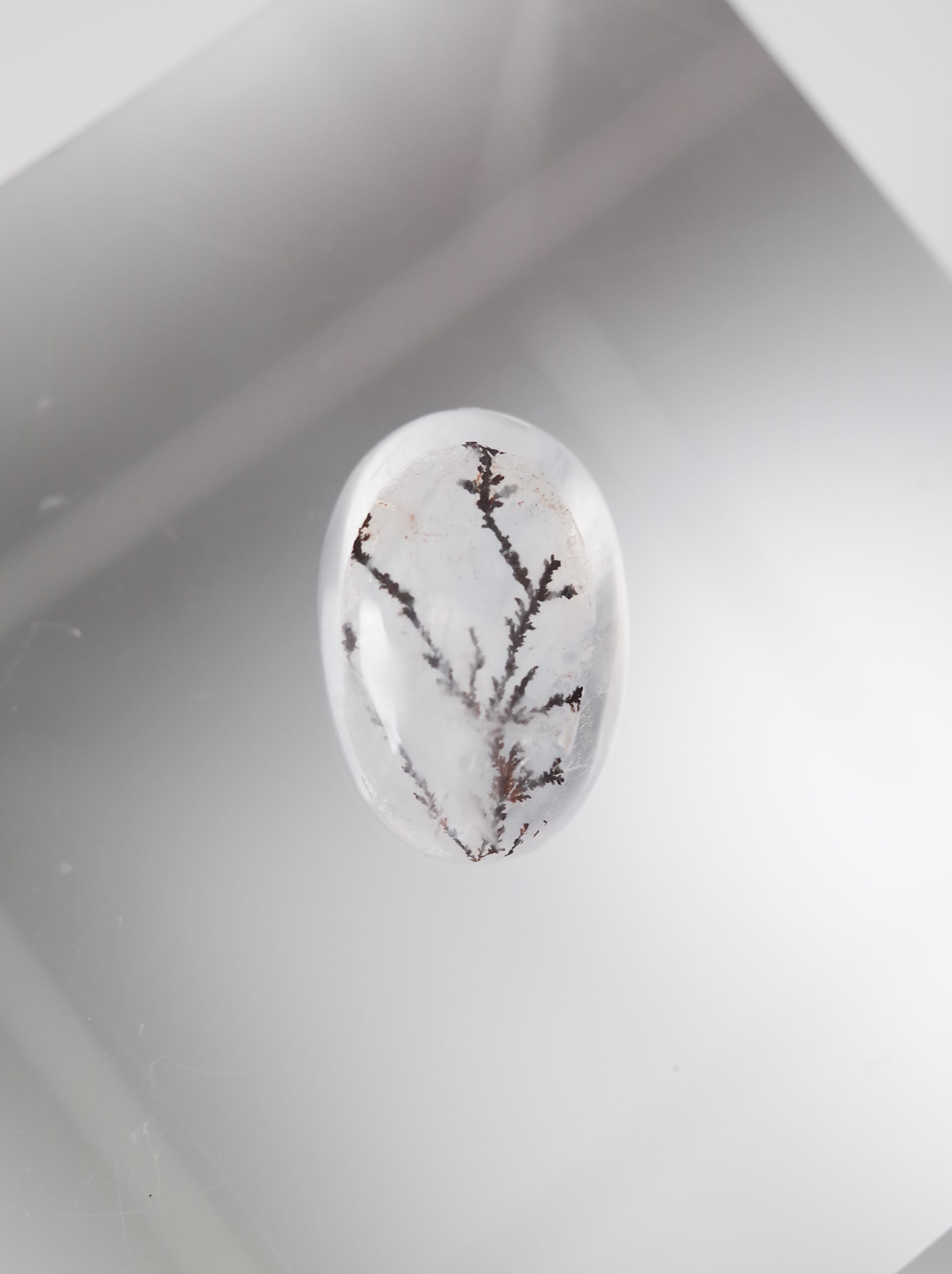 デンドリティッククォーツ - a13