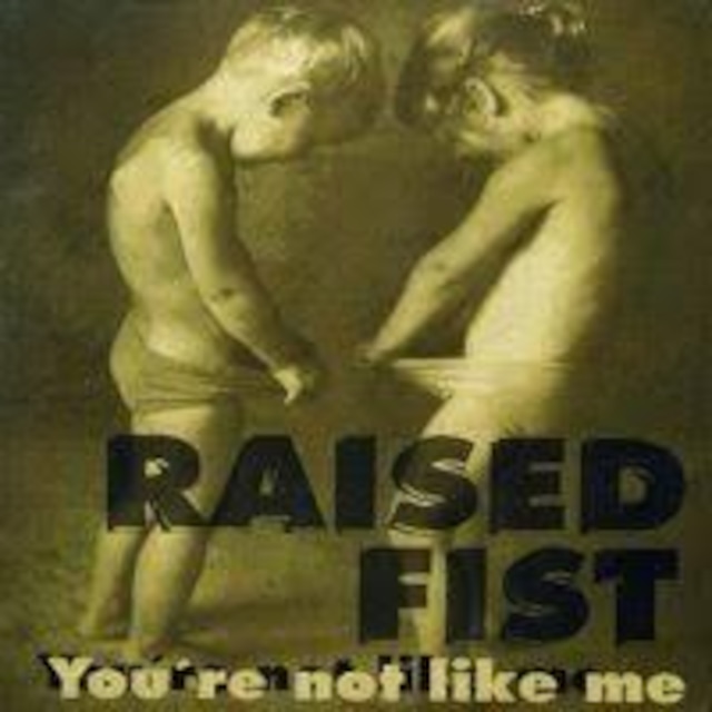 【USED/A-3】Raised Fist / You're Not Like Me