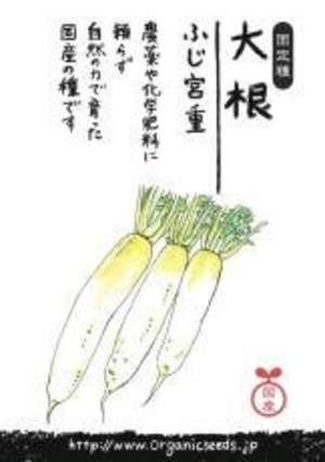 国産大根(ふじ宮重) 約２０粒　ＮＬＳ