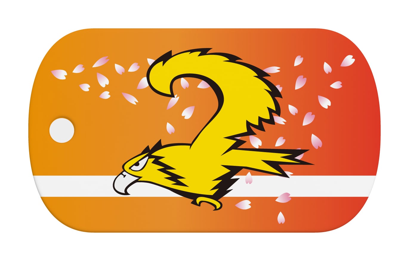 航空自衛隊 XC-1 輸送機 【002】「フェニックス」 ドッグタグ 4CTAG HD