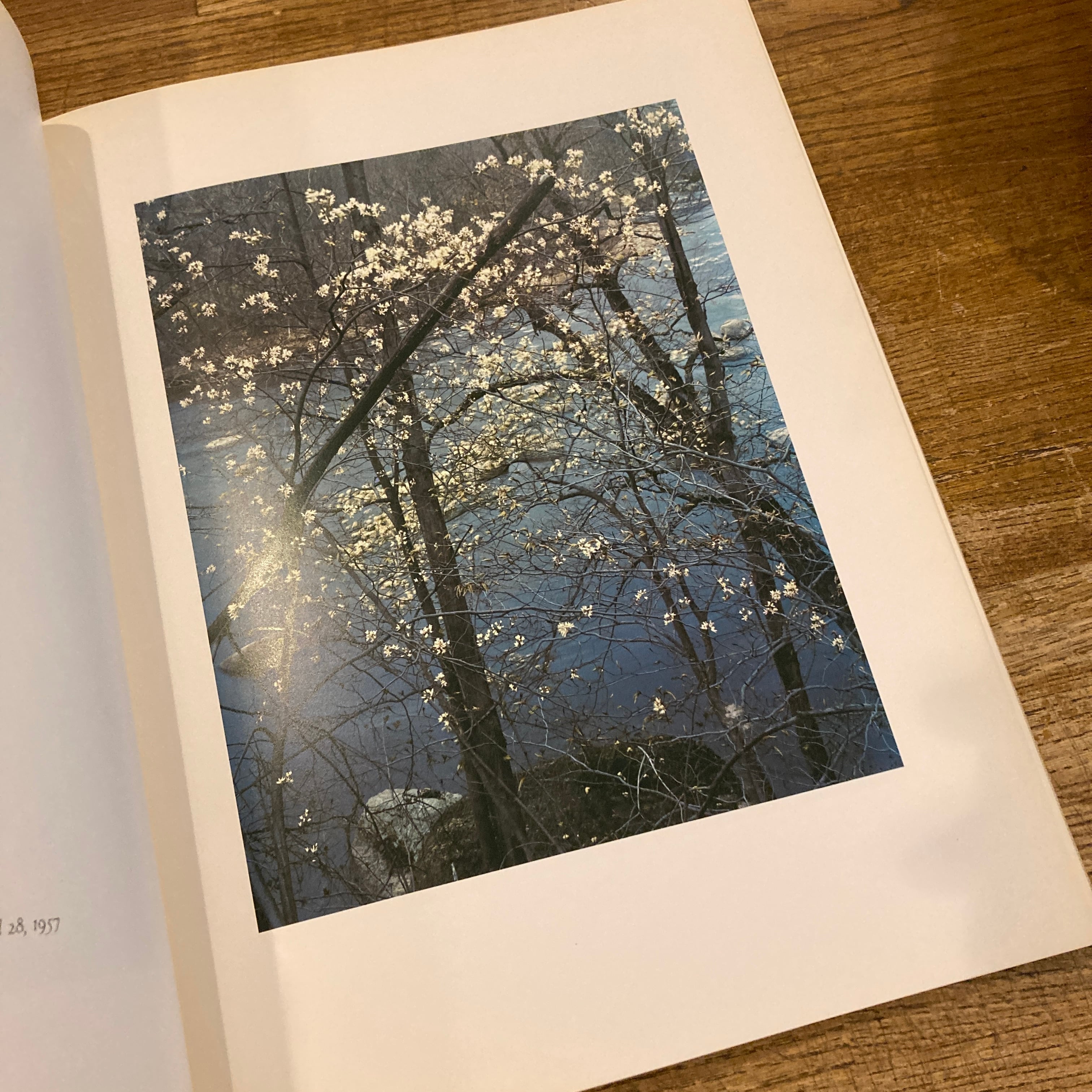 ELIOT PORTER 写真集　英語 7eeb9156bb5c70e899cece95750093