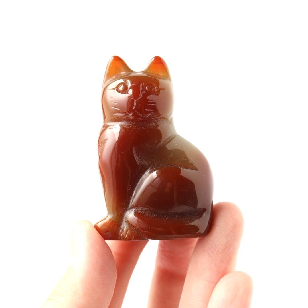 レッドアゲートのねこ