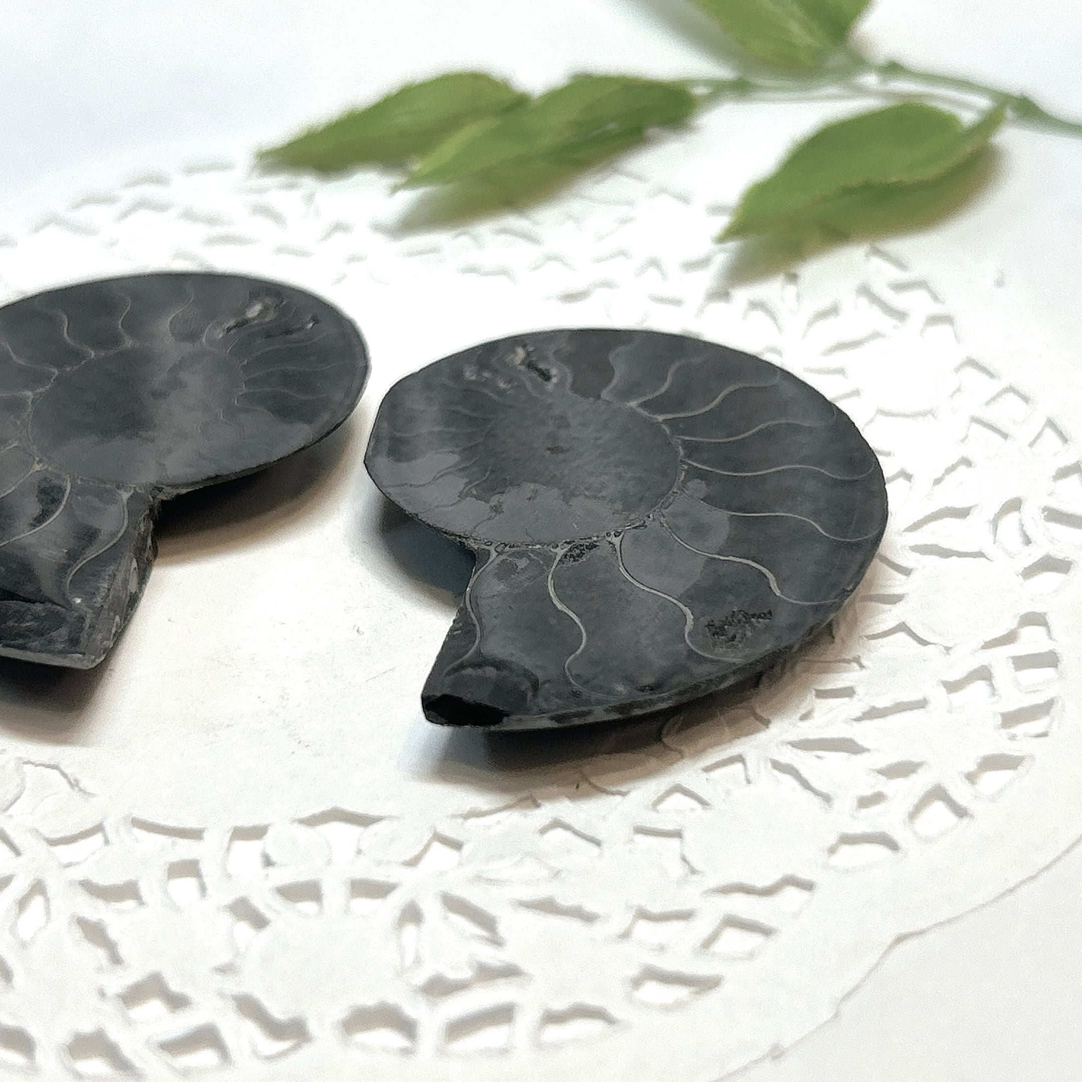 17920】ブラックアンモナイト アンモナイト 黒い マダガスカル 赤鉄鉱