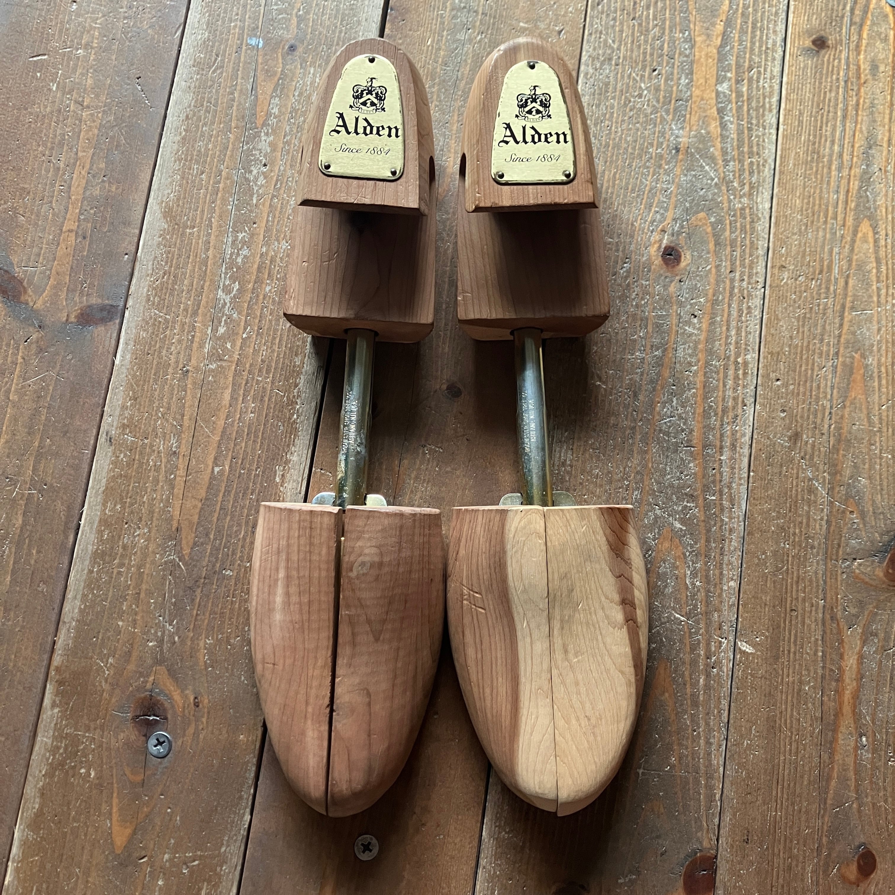 SHOE TREE | safarionline