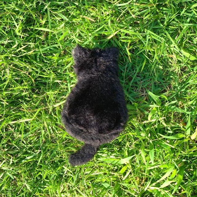 Mini Meow Pouch BLACK / ミニミャウポーチ ブラック