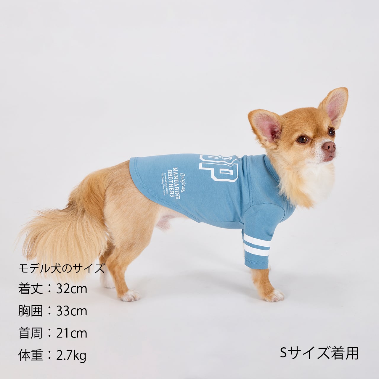 ELLEGARDEN マーチ ロングスリーブ XXL LONG SLEEVE T-shirt(XS.S) ロングスリーブTシャツ