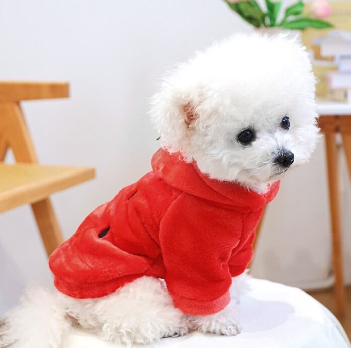 《予約》1103162 なりきりいちごパーカー