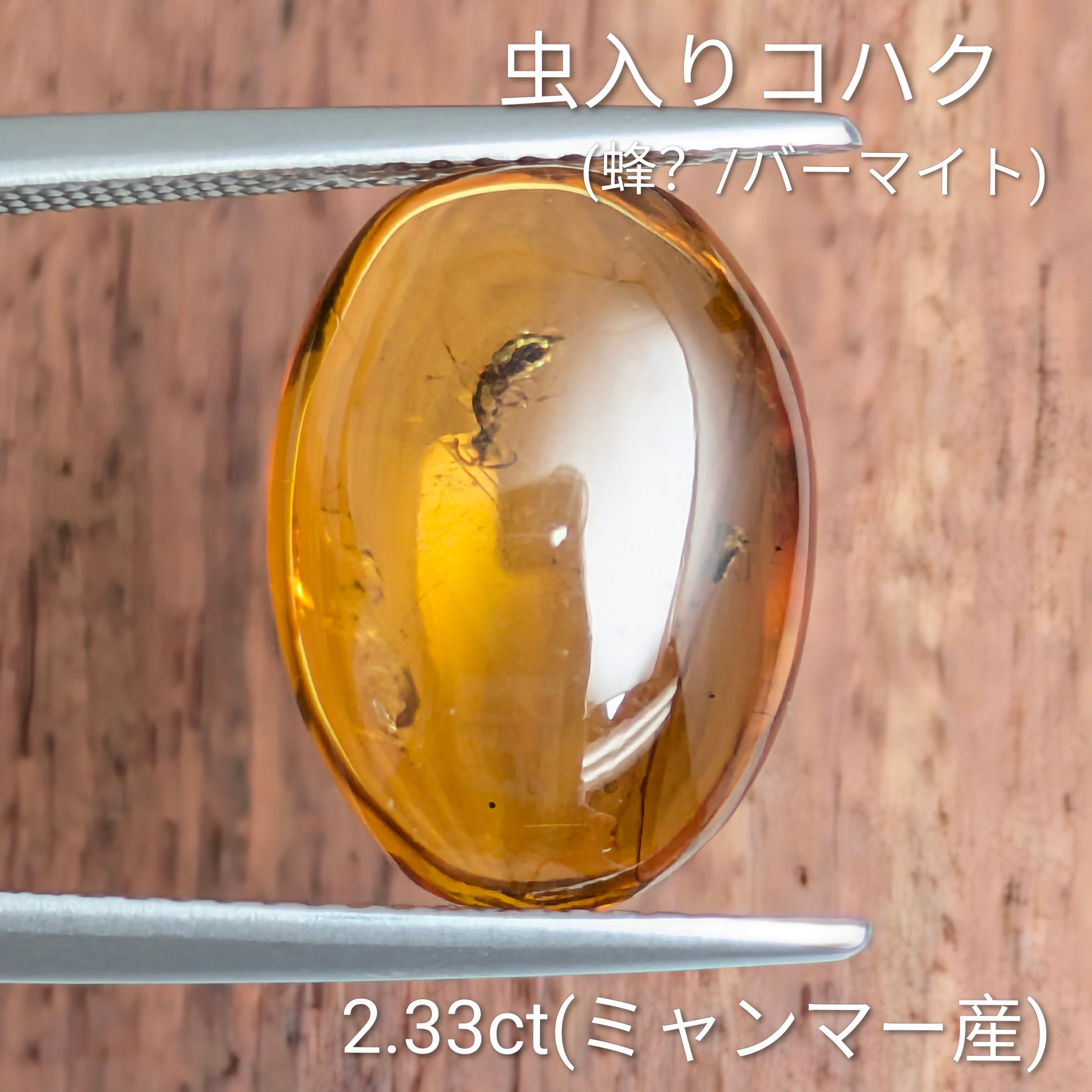虫入り琥珀（蜂？/バーマイト)ルース ミャンマー産【2.33ct