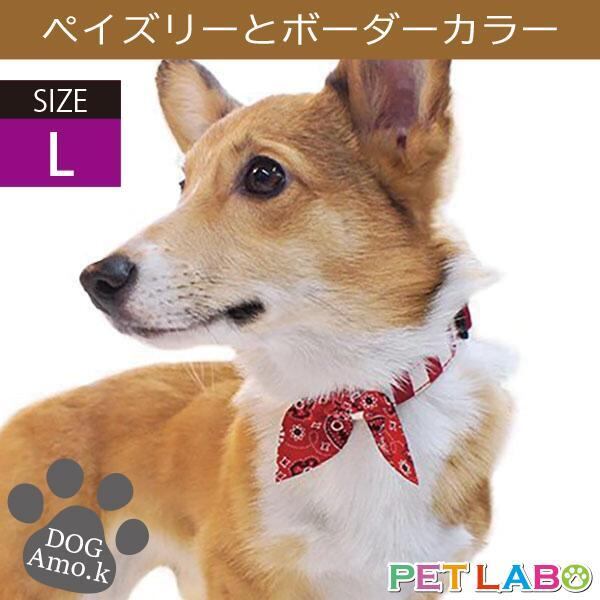 ペイズリーとボーダーカラー(Lサイズ) Amo.k アモワークス 首輪 胴輪 ハーネス リード 引き手 お散歩 お出かけ