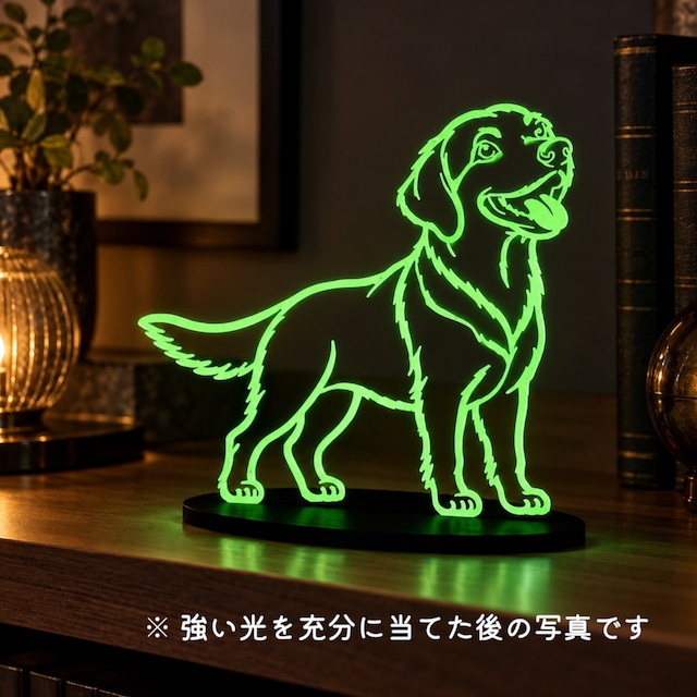 チャイニーズクレステッドドッグ ラインオブジェ 犬好き プレゼント