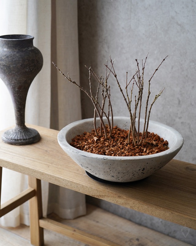 セレナ　シャローポット　Φ30cm