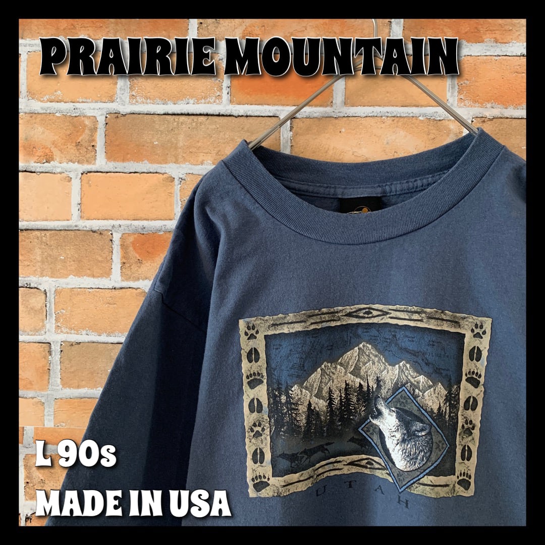 90年代 PRAIRE MOUNTAIN NASA プリントTシャツ USA製 メンズXL ヴィンテージ /eaa348002