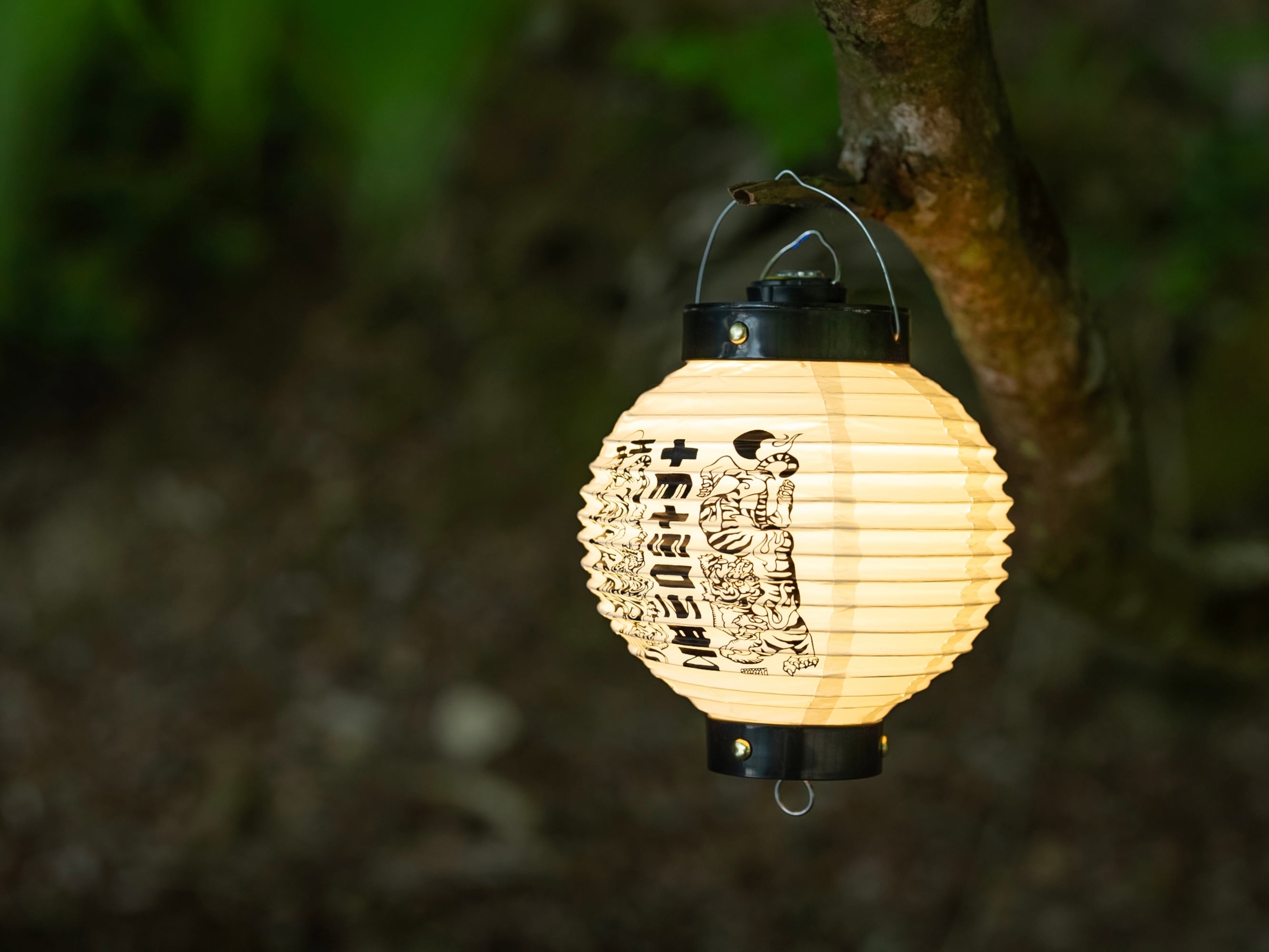 鉄山提灯 | TETSUZAN