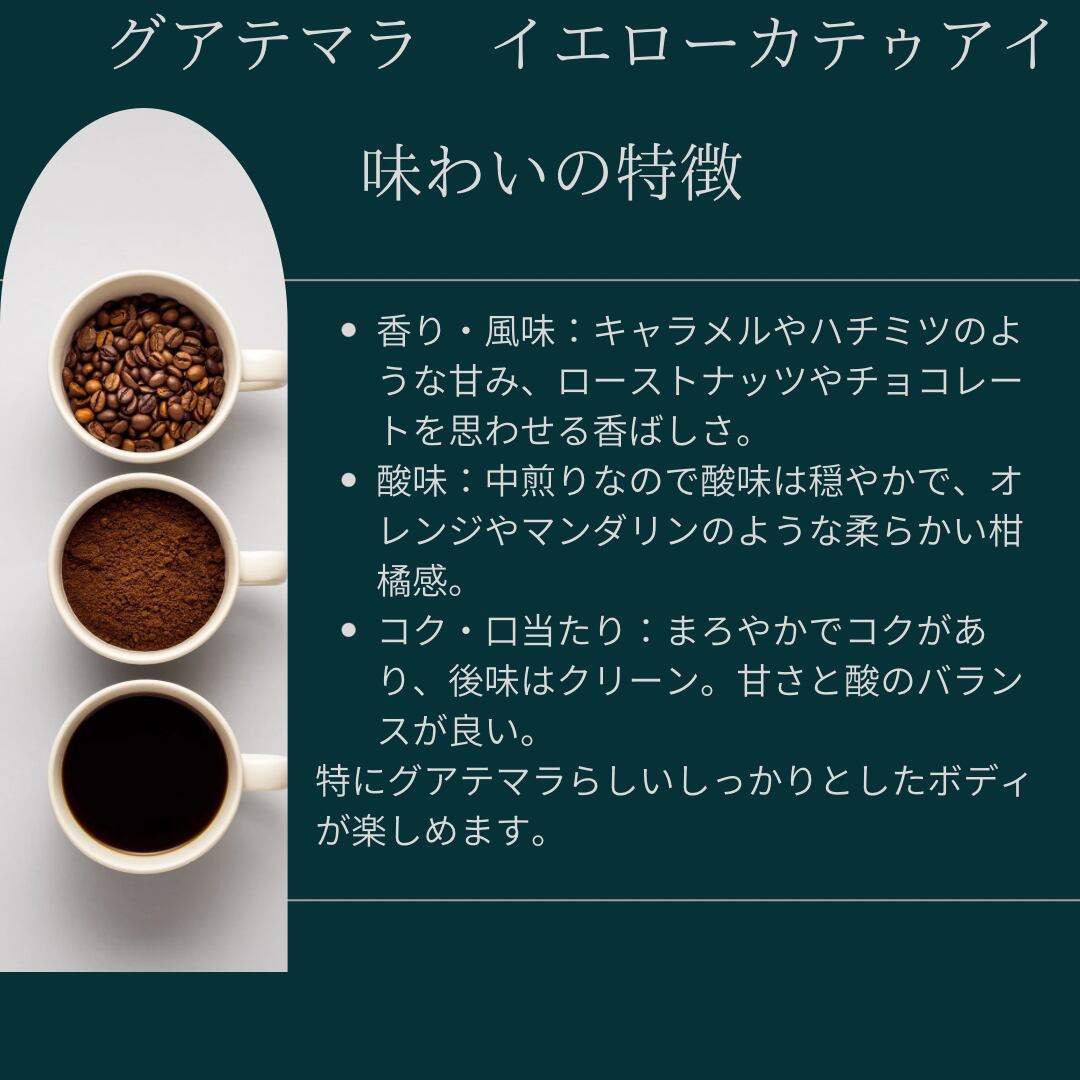 500g中煎りグアテマラYellow Catuai15%off