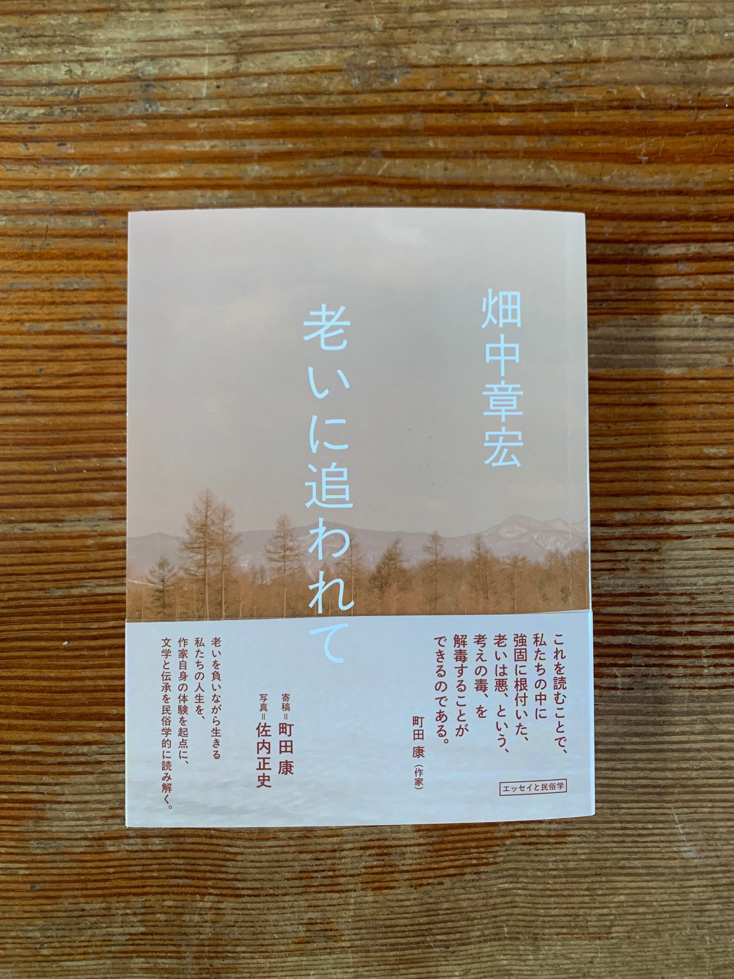 希少　アショーカ王とその時代 山崎元一　春秋社 STANDARD BOOKSTORE