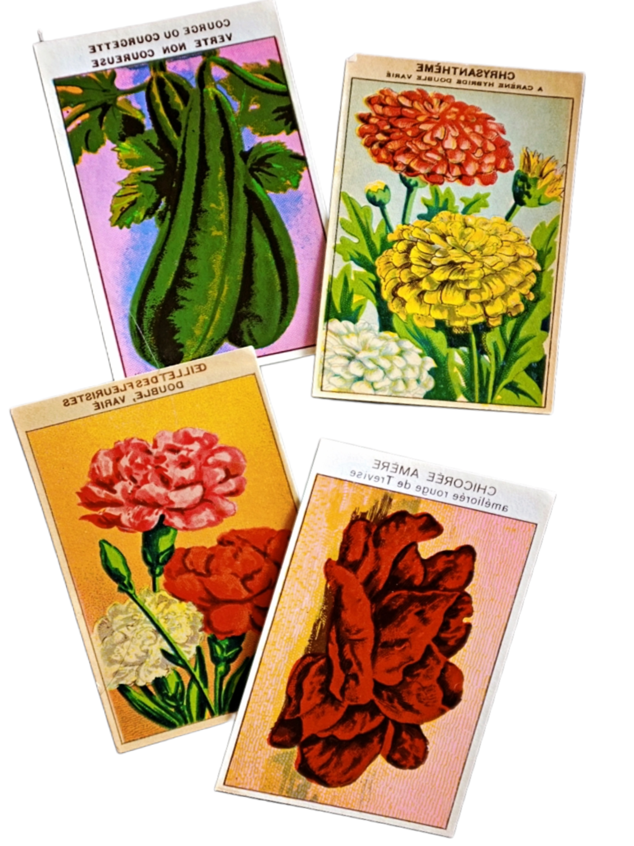 20s フランス 4set 膨満な花々と野菜たち 種子袋用ラベルt アンティーク