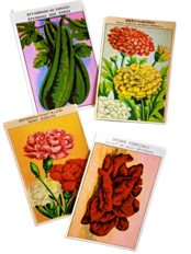20s フランス 4set 膨満な花々と野菜たち 種子袋用ラベルt アンティーク