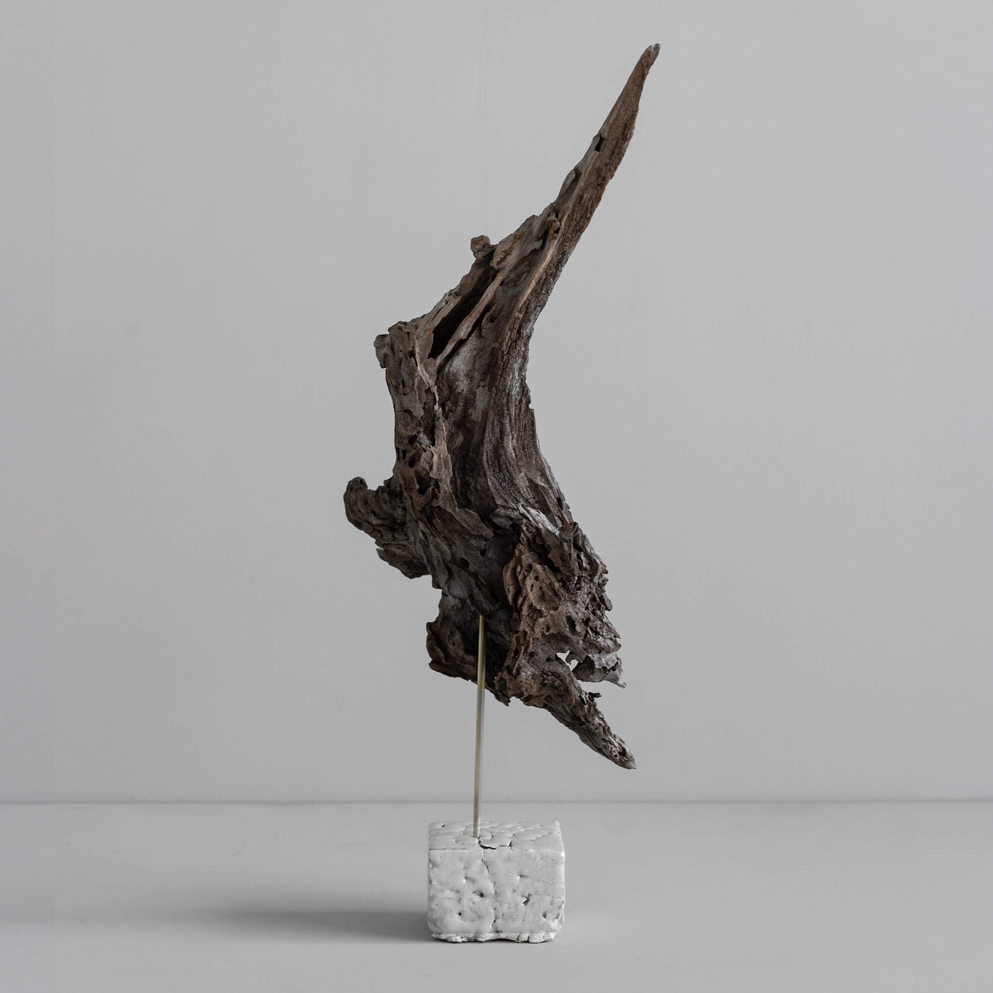 3Framers 水野幸一 流木のオブジェ MK01