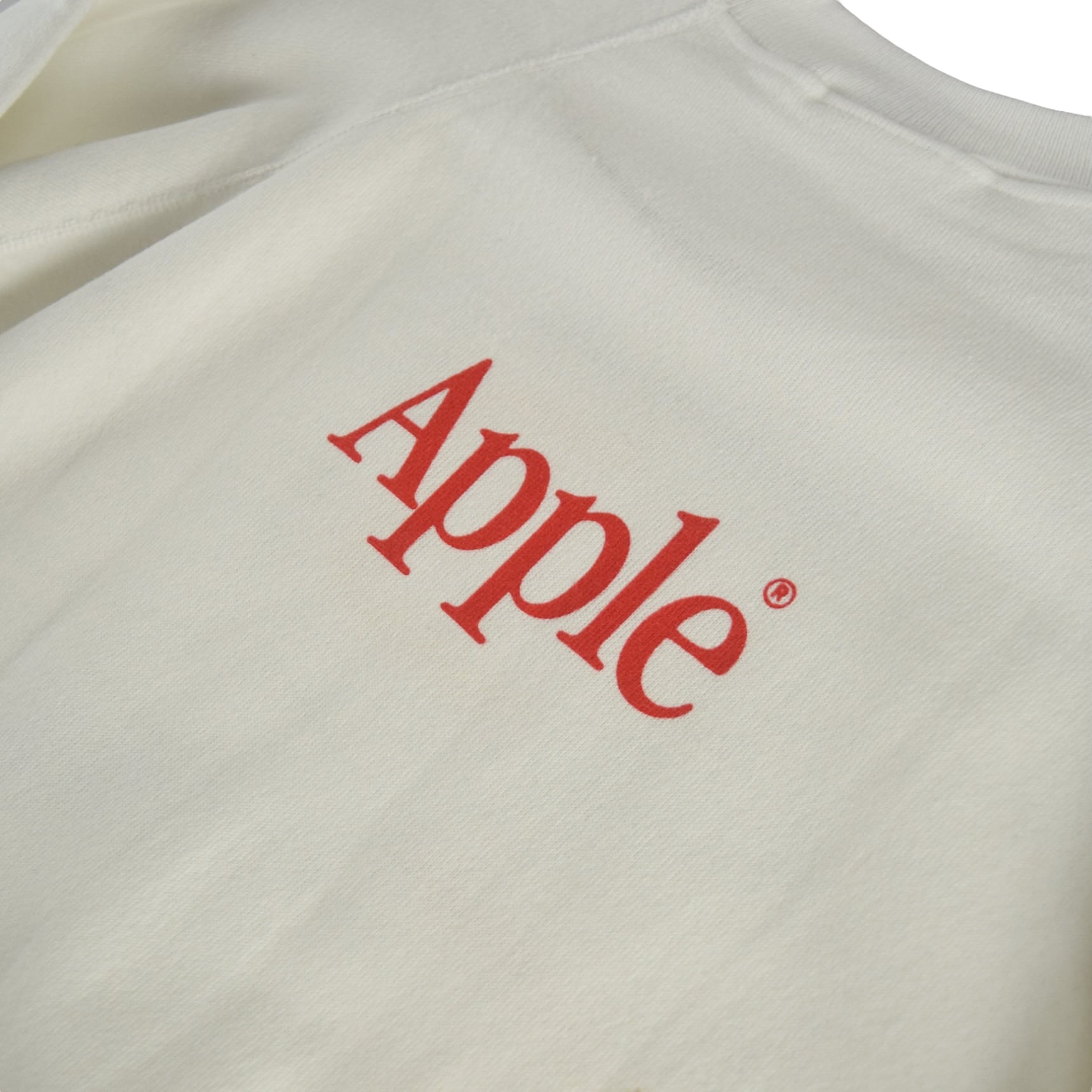 90s Apple ロンT hanes アップル社 ヘインズ製-