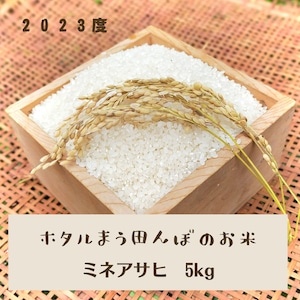 ホタル舞う田んぼのお米5kg（玄米・白米）