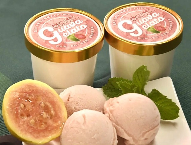 南国にしがわ農園　有機グアバ農園のなめらかジェラートセット 画像