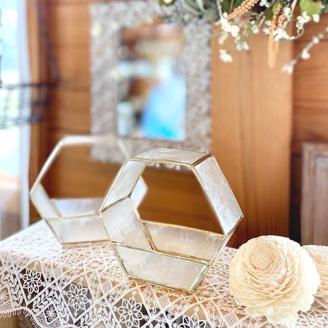 カピスプラントホルダー　六角