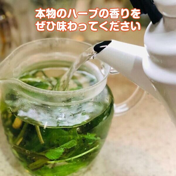 f8aaf2ff788ce804df8fb4c4e4ab6f