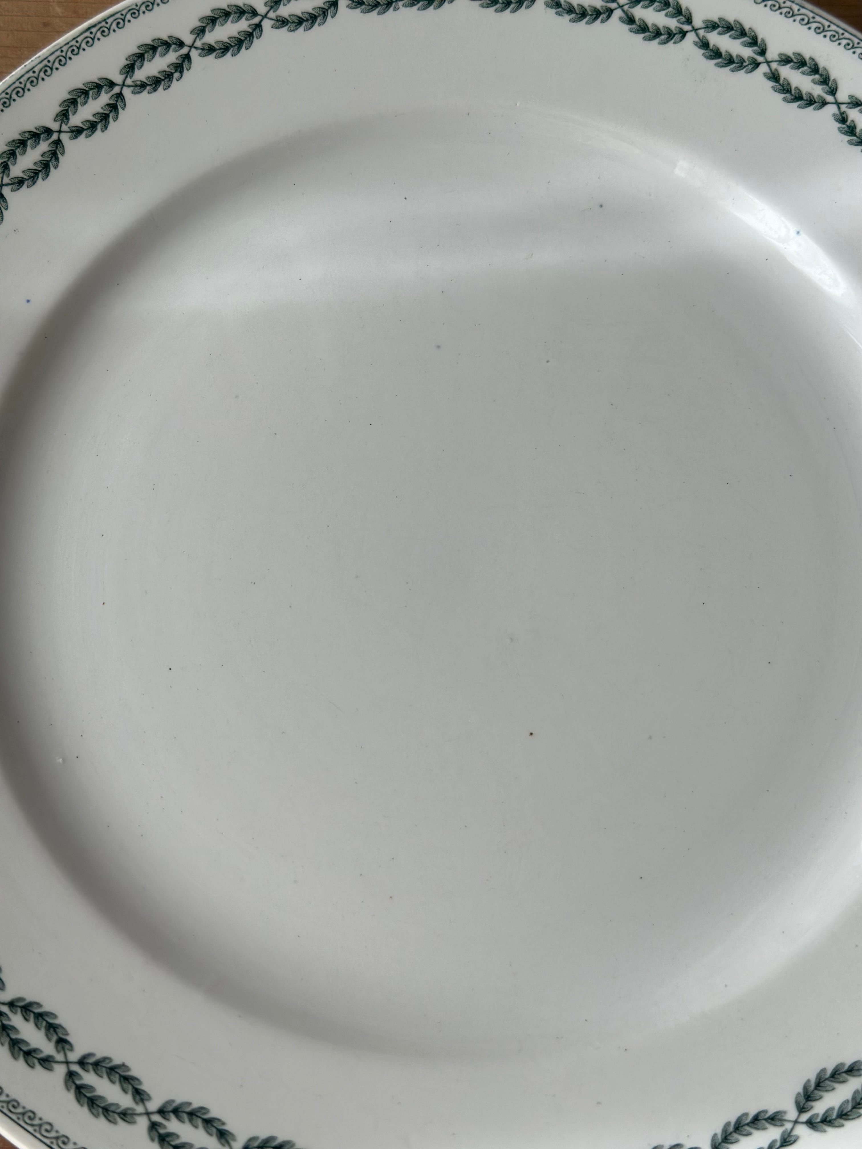 Sarreguemines サルグミンヌ / “NOBILIS” ローリエ模様の平皿プレート