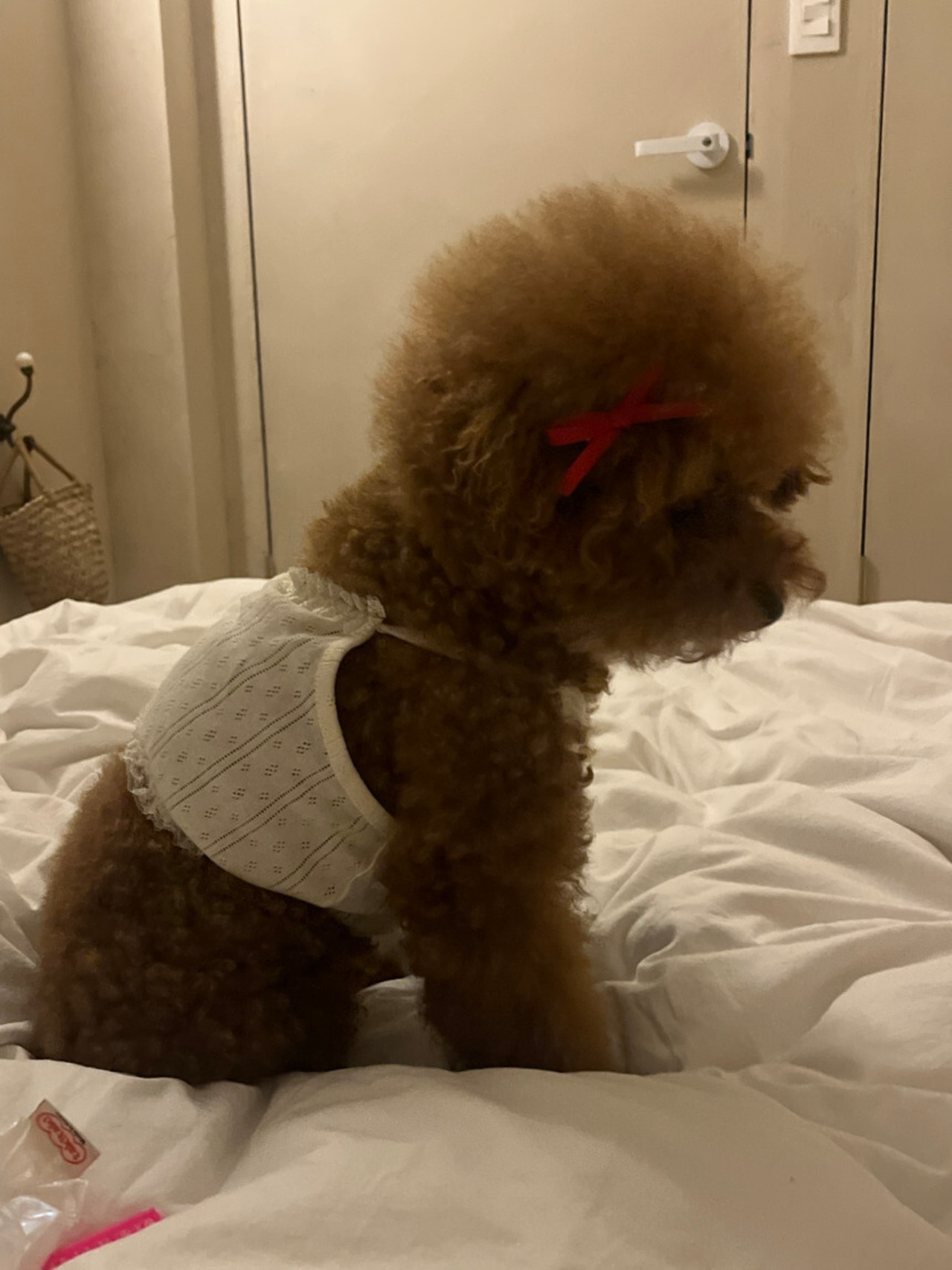 予約【pecoramou select】pretty home wear