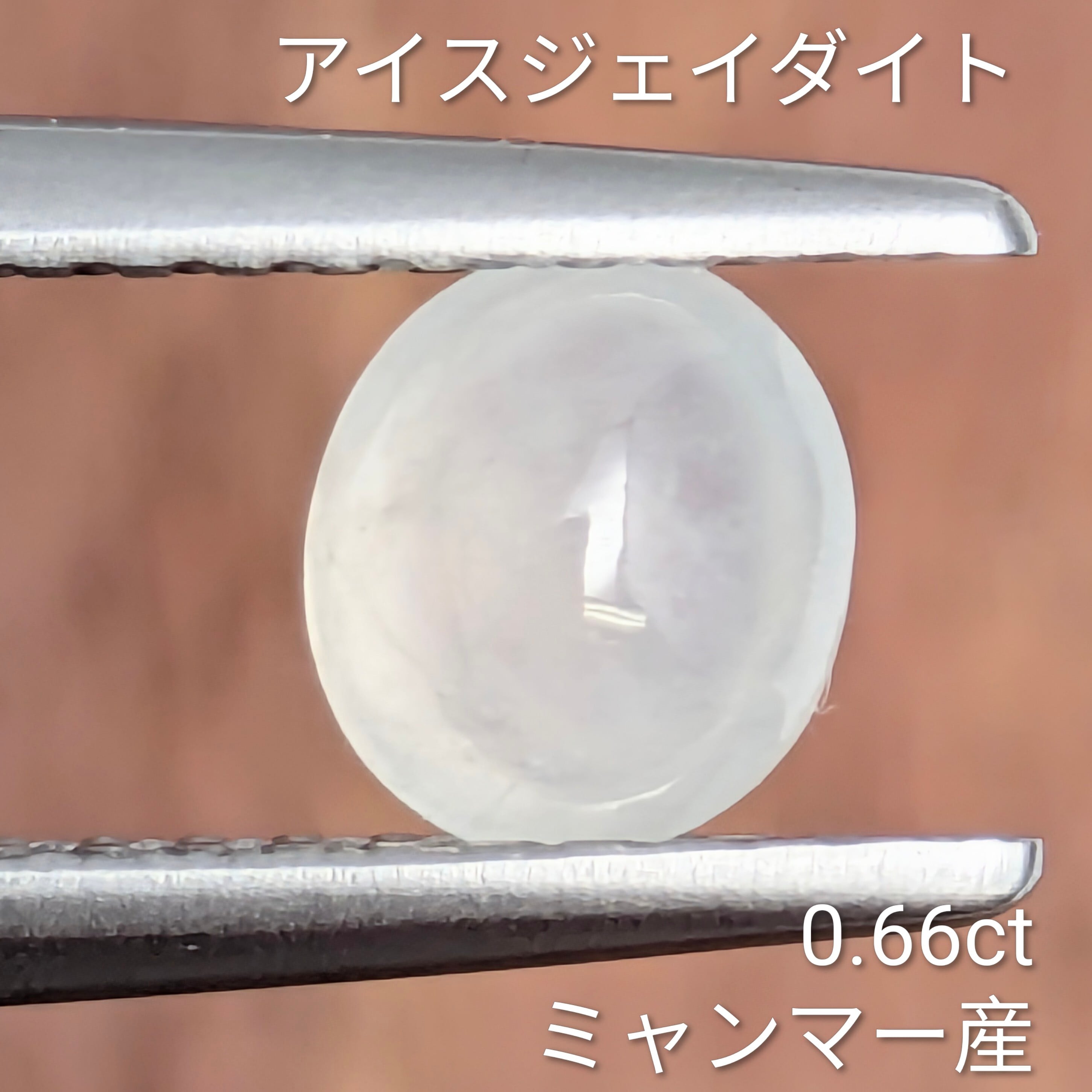 価格帯別】 | Gem's Subculture