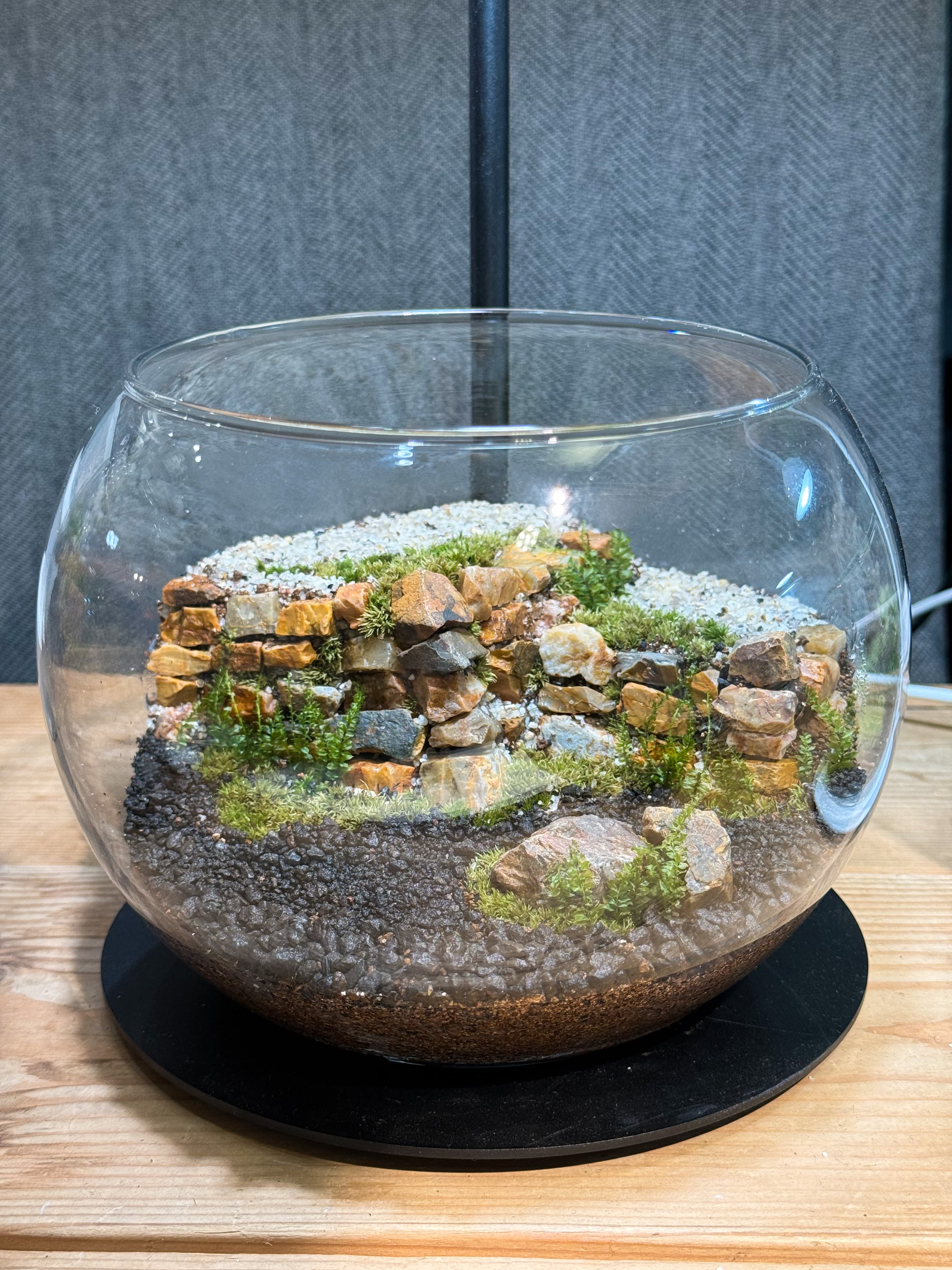 その他 | 苔テラリウム専門店Feel The Garden