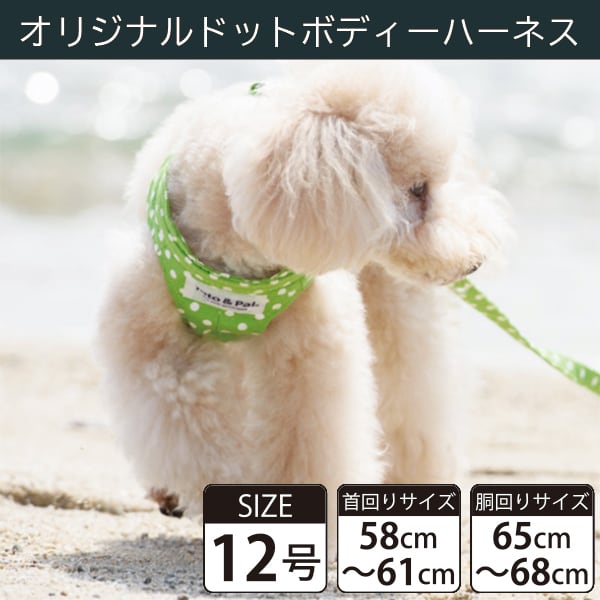 【受注生産品】Toto&Pal(トトパル) ボディーハーネス・オリジナルドット(12号)