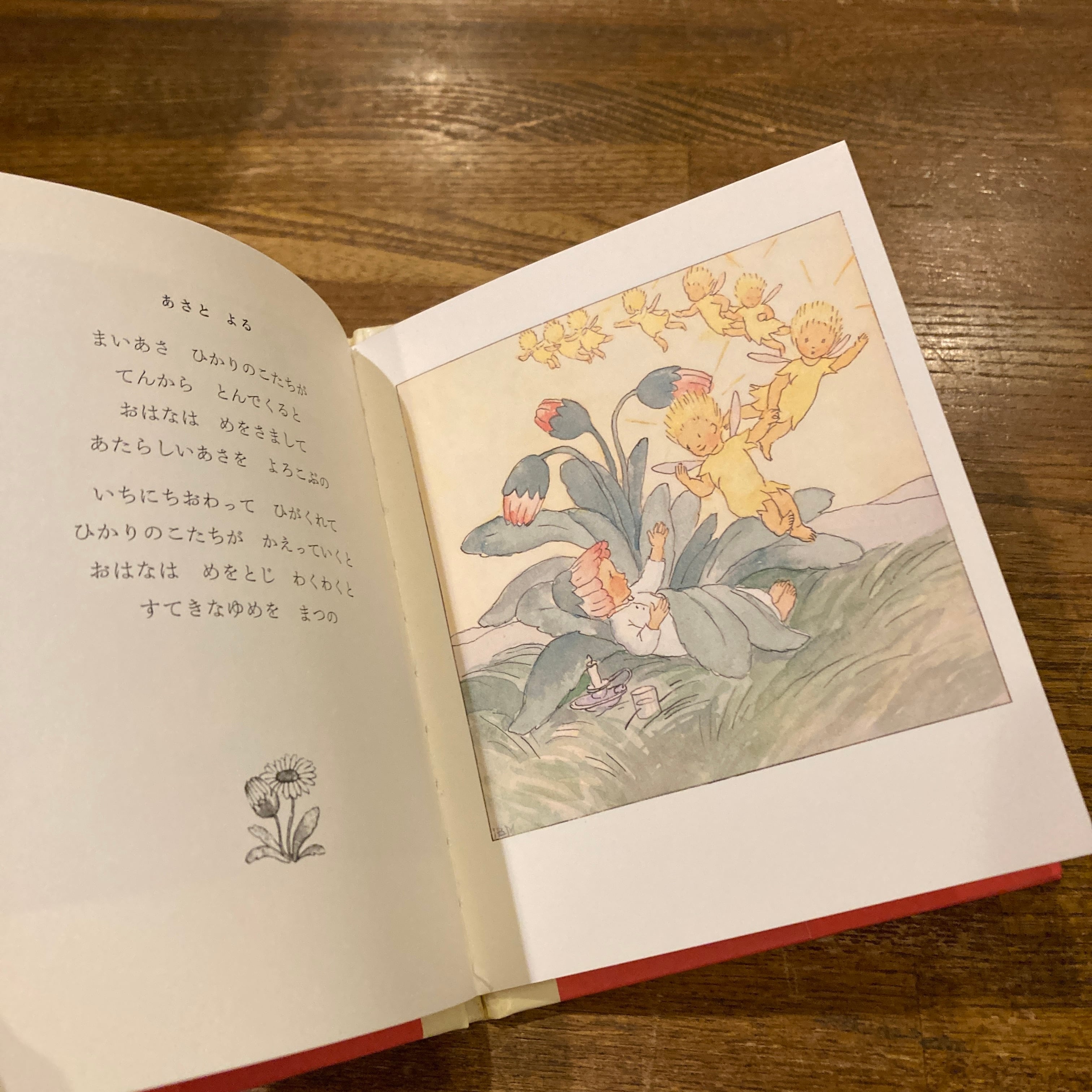 イーダ・ボハッタ絵本4冊セット『かわいいひかりのこたち』『はなの