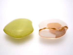 ハルイロ＃００３「蘆の角」